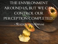 Radhanath Swami on Controlling perception