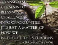 Radhanath Swami on Wisdom