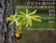 Radhanath Swami on seed of suffering
