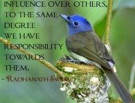 Radhanath Swami on Responsibility
