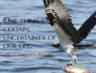 Radhanath Swami on uncertainty of life